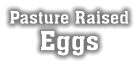 Pasture Raised Eggs